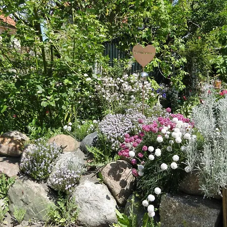 Blue Water 3 * Wustrow (Fischland)