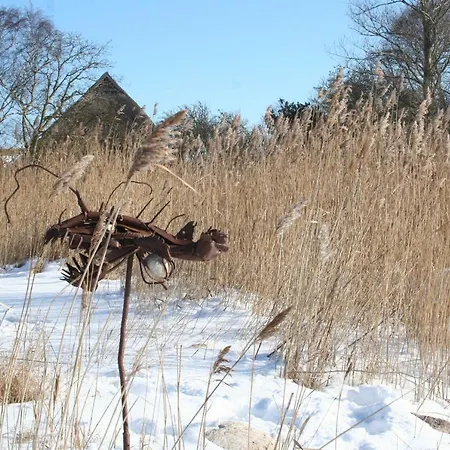 Blue Water 3 * Wustrow (Fischland)